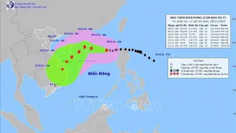 03 sân bay chịu ảnh hưởng trực tiếp của bão Yinxing