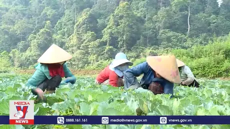 Tuyên Quang thúc đẩy phát triển các chuỗi liên kết trong sản xuất nông nghiệp