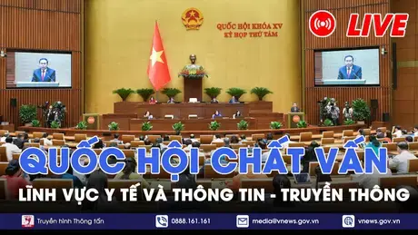 Trực tiếp: Sáng 12/11, Quốc hội tiếp tục hoạt động chất vấn và trả lời chất vấn