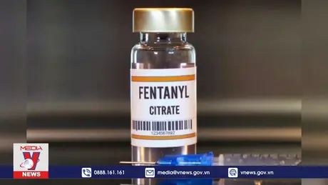 Fentanyl - chất ma túy nguy hiểm