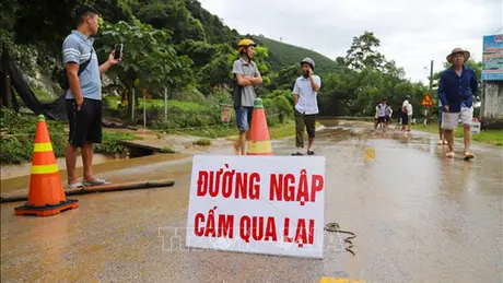 Thời tiết ngày 24/11: Trung Bộ mưa lớn, từ chiều tối mưa giảm dần 