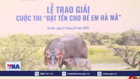 Đặt tên cho hà mã baby tại Vườn thú Hà Nội